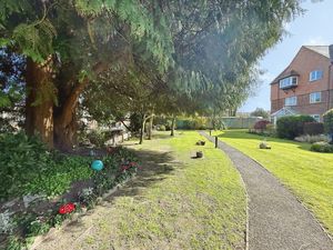 Photo 8- click for photo gallery